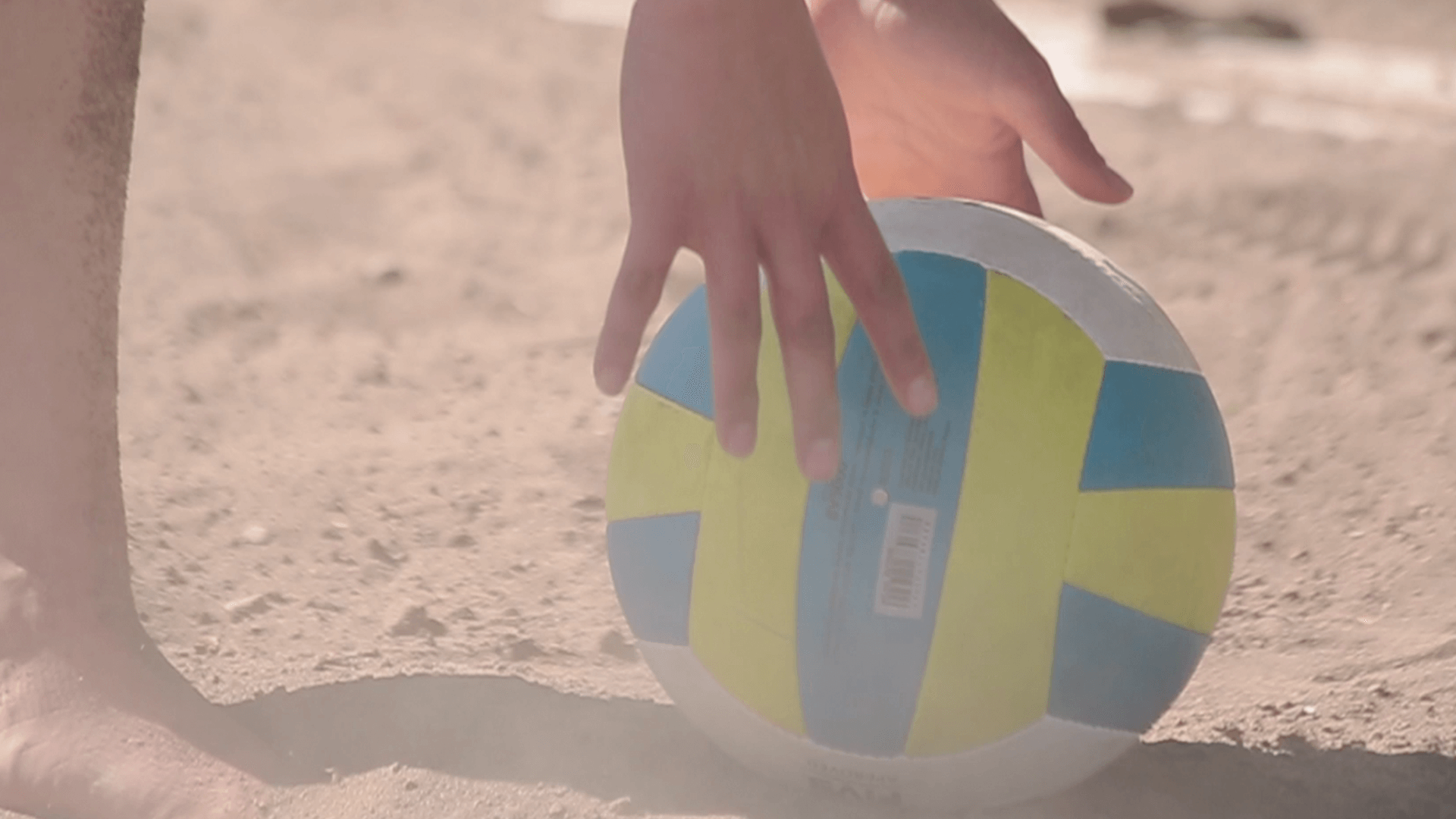 Insport - Conade, Volleyball